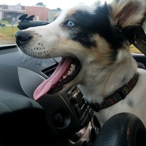 Meet your Posher, Veronica